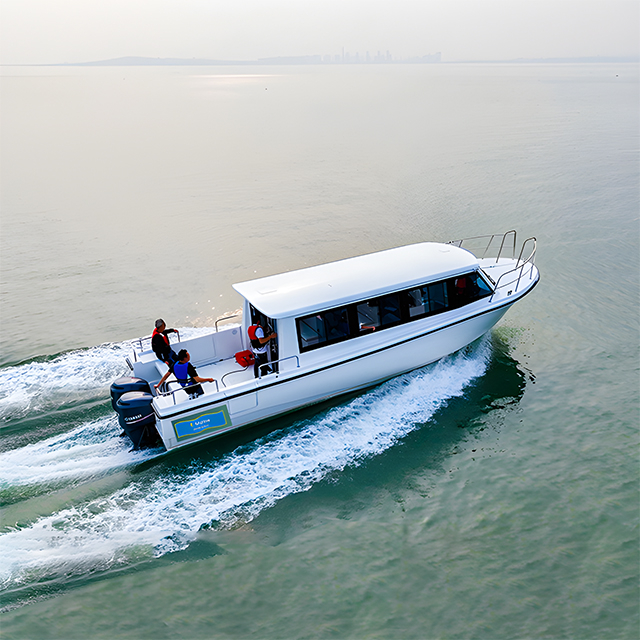 T.Marine 11.19Meter قارب ركاب للبيع 